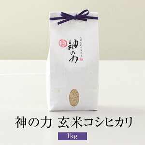 米 自然米 研がなくても旨い 神の力 1kg 玄米 コシヒカリ 無肥料 無農薬 国産 九州産 佐賀県産 贈り物 お祝い 自然栽培園北村 タビグルメ