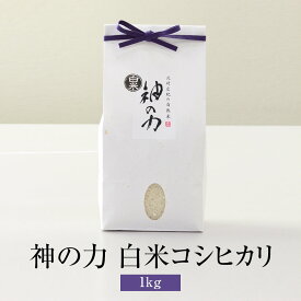 米 自然米 研がなくても旨い 神の力 1kg 白米 コシヒカリ 無肥料 無農薬 国産 九州産 佐賀県産 贈り物 お祝い 自然栽培園北村 かごしまや 父の日