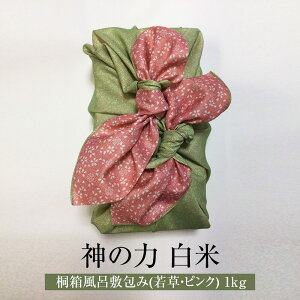  R Ղ̎R _̗ 1kg ˔C~ ᑐEsN  RVqJ 엿 _ Y BY ꌧY Mtg v[g p 蕨 j R͔|k ^rO