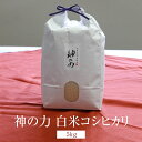 米 奇跡の自然米 神の力 5kg 白米 コシヒカリ 無肥料 無農薬 国産 九州産 佐賀県産 贈り物 お祝い 自然栽培園北村 タビグルメ