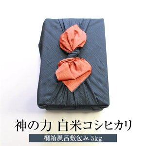  Ղ̎R _̗ ˔C~ 5kg  RVqJ 엿 _ Y BY ꌧY 蕨 j R͔|k ^rO