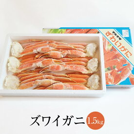 1.5kg 国内製造 ズワイ蟹 ボイル 化粧箱 ズワイガニ ずわいがに 冷凍 ずわい蟹 脚 脚肉 肩 爪 肉 しゃぶしゃぶ 送料無料 年末 年末年始 長崎 丸政水産 かごしまや