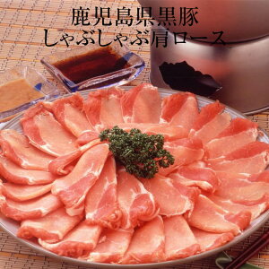 [X  Ԃ [X 250g Ⓚ    Y BY Y  Mtg v[g j Ε Nx  OX^WA ^rO