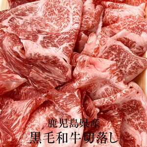 Y јaؗ 1kg Ⓚ XCX  Y BY Y  Mtg v[g Nx  OX^WA ^rO