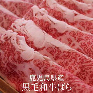  Y јa΂ 1kg Ⓚ   Y BY Y  Mtg v[g j Nx  OX^WA ^rO