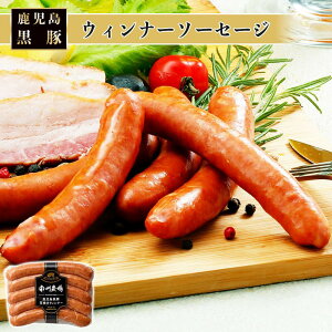 EBi[\[Z[W 120g   \[Z[W {C r҂   B_ꊔ ^rO