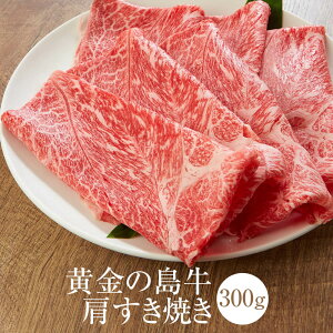 ���� �����̓����������Ă� 300g �Ⓚ �����Ă��p �� �� ���Y ��B�Y �������� �_�Ɩ@�lNIKUYA NIKUYA �^�r�O����