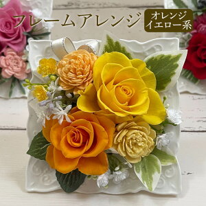  t[AW IׂJ[  sN IW CG[ F a v[g  a  j j  ސEj ʉ i  Cj җj v