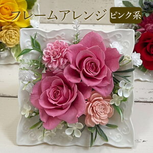  t[AW IׂJ[  sN IW CG[ F a v[g  a  j j  ސEj ʉ i  Cj җj v