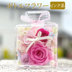  {gt[ IׂJ[  sN IW u[   p[v a v[g  a  j j  ސEj ʉ  Cj җj v