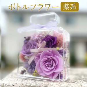  {gt[ IׂJ[  sN IW u[   p[v a v[g  a  j j  ސEj ʉ  Cj җj v