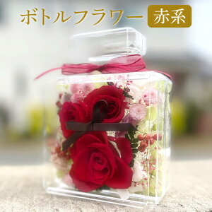  {gt[ IׂJ[  sN IW u[   p[v a v[g  a  j j  ސEj ʉ  Cj җj v