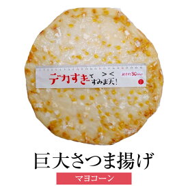 父の日 天ぷら デカすぎてすみま天！ マヨコーン バーベキュー パーティー さつま揚げ ギフト プレゼント ギフトセット お祝い 送料無料 関屋蒲鉾 かごしまや