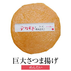 父の日 天ぷら デカすぎてすみま天！ めんたい バーベキュー パーティー さつま揚げ ギフト プレゼント ギフトセット お祝い 送料無料 関屋蒲鉾 かごしまや