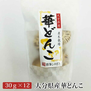 啪Y؂ǂ 30g×4Zbg 30g×12Zbg ؒő ő Y   YX ^rO