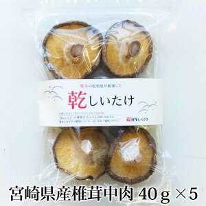 {茧Yő 40g×5Zbg  ۏ ő Y   YX ^rO
