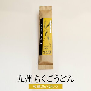 うどん 九州ちくごうどん 乾麺50g × 2束 ×5個セット 国産 九州産 福岡産 温麺 冷麺 ギフト ギフトセット プレゼント 送料無料 たけ屋 タビグルメ