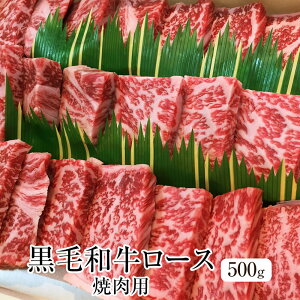  јa [X ēp 500g Ⓚ Ⓚ Y a   Mtg v[g 蕨 p [NXgC^[iVi ^rO