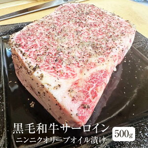  јa T[C 500g jjNI[uICЂ ubNJbg Ⓚ Ⓚ Y a   Mtg v[g 蕨 p [NXgC^[iVi ^rO