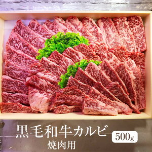  јa Jr o ēp 500g Ⓚ Ⓚ Y a   Mtg v[g 蕨 p [NXgC^[iVi ^rO