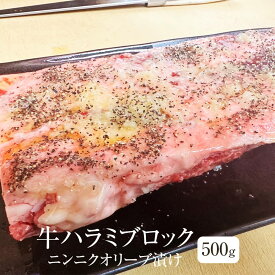 牛肉 アメリカ産 牛ハラミ ニンニクオリーブ漬け ブロックカット 500g ハラミ 冷凍 冷凍便 牛 肉 ギフト プレゼント 贈り物 贈答用 ゼクストインターナショナル かごしまや 父の日