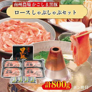 ؃[XԂԃZbg 500g/800g   炩 Ԃ    ||t B_ꊔ ^rO