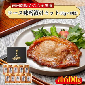 ؃[XXЂZbg 600g/500g 60g×10 100g×5  炩 Mtg    B_ꊔ ^rO