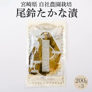 たかな漬け 宮崎県 自社農園栽培 尾鈴たかな漬 200g×2袋・3袋 乳酸発酵 高菜 醤油づけ お漬物 ヤマイチ農園合同会社 タビグルメ