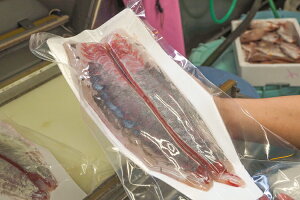 Y{B 1 3.5`4.0kg  Ԃ {BԂ  N  _o JbgH ^pbN   Y   Y 邪Y ^rO