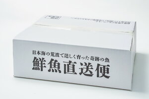 N 4`5kg N{bNX l VN   N Ԃ̋ ^rO