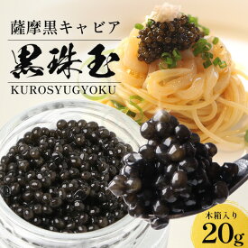 薩摩黒キャビア 黒珠玉 20g 国産 キャビア おすすめ パスタ おつまみ クラッカー クリームチーズ 料理の色どり！ ワインのお供に お取り寄せ 高級食材 贈答用 黒キャビア 珍味 ギフト プレゼント お中元 黒殊玉 送料無料 鹿児島 枕崎 タビグルメ