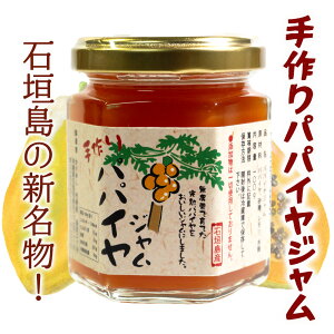 �Ί_���Y100%�@����p�p�C���W�����i100g�j�@TS-48