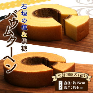 石垣の塩& 黒糖バウムクーヘン×各1箱(合計2箱) TS-23