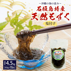  Ί_ VR  Ղ450g×10pbN v4.5kg TS-95