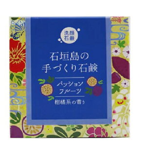 pbVt[c@-Ί_̎Ό-100g@TS-76