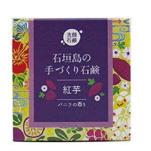 gΌ[Ί_̎Ό[100g@TS-77