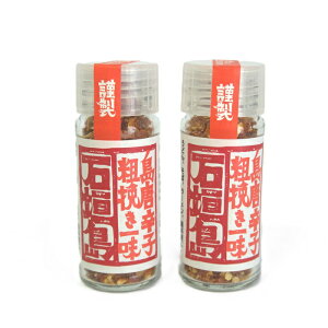 Ί_ ue҂ꖡv Ƃ炵×2{ TS-142