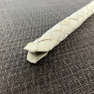 EΊ_EdR̃j[NȖ|ߋuwnuvij@TS-102