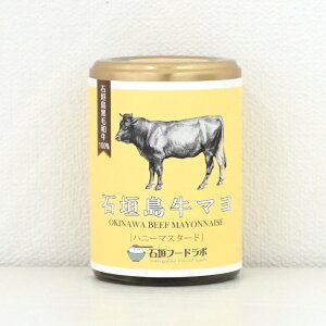 Ί_} nj[}X^[h 110g×1@TS-41