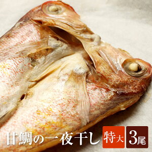 Ñ Ñ銱  240g × 3  Ⓚ  A}_C Mtg   ocN ^rO