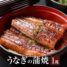 【土用の丑の日】鹿児島産 うなぎの蒲焼 1尾 150〜169g 国産鰻 蒲焼き うな重 ギフト プレゼント 土用丑 お中元 海鮮 株式会社サカナカケル タビグルメ