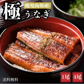 【土用の丑の日】 鹿児島産 うなぎの蒲焼 1尾/4尾 冷凍便 パック 国産鰻 蒲焼き うな重 ギフト プレゼント 土用丑 お中元 海鮮 株式会社サカナカケル タビグルメ