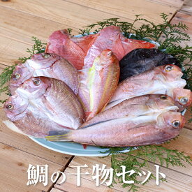 鯛の干物セット 干物 干物セット 詰め合わせ 冷凍 九州産 無添加 国産 出水田鮮魚 かごしまや 父の日