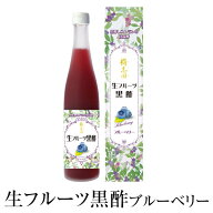 黒酢ドリンク かくいだ 生フルーツ黒酢 ブルーベリー 500ml 黒酢飲料 酢飲料 福山黒酢 鹿児島 ギフト 桷…