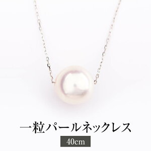 lbNX fB[X ꗱp[lbNX v`i {H|p ANZT[ y_g p[ ARp[ ^ tH[}  Mtg v[g 蕨 ^rO