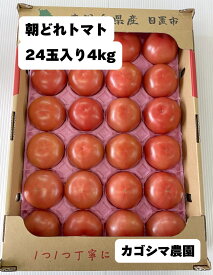 カゴシマトマト 4kg　朝どれ　大玉　トマト　完熟　送料無料　たっぷり　24玉 24個