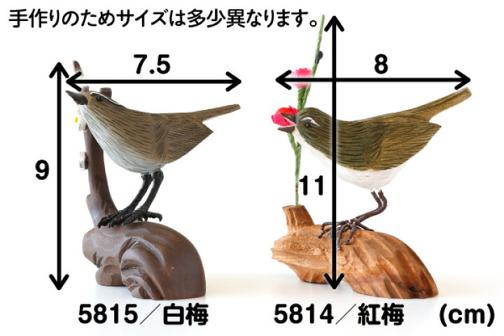 楽天市場 木彫り細工 梅にうぐいす 1点のみの価格です 紅梅と白梅では仕様が異なります あらかじめご了承ください 5814 紅梅の枝付きうぐいす 約 枝幅9 鳥長さ7 5 高さ9cm5815 白梅の枝付きうぐいす 約 枝幅8 鳥長さ8 高さ11cm かごや