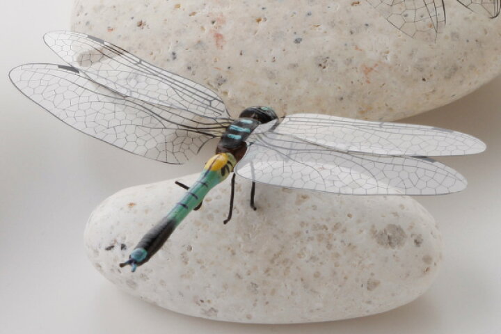 楽天市場 昆虫模型 しおからとんぼ 約 はね9 5 からだ5 5 高さ1 5cm かごや