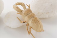 竹細工 くわがた (約)長さ6.5×幅3×高さ2cm