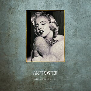 A[g|X^[ A1TCY  IV rO Q  Ǌ|  f  傫  } [A[gpl G t[t 60 80 AEgbgi